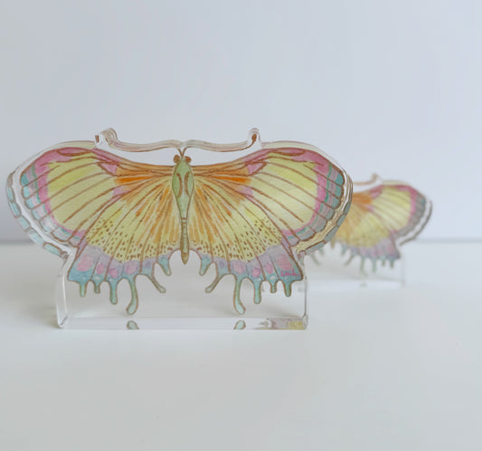 March Butterfly Freestanding Acrylic