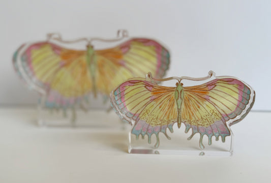 March Butterfly Freestanding Acrylic
